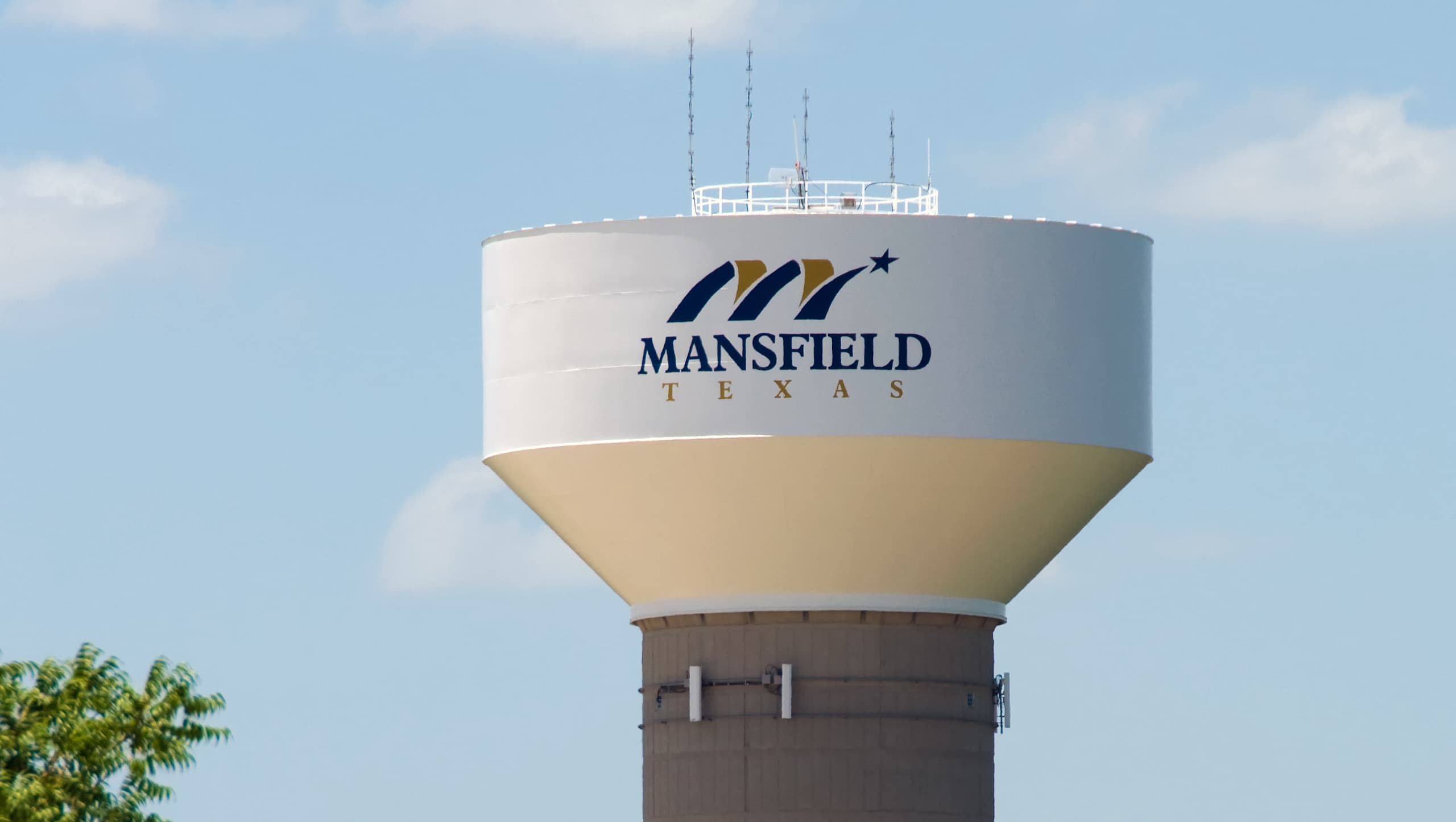 Homeowner Associations artificial turf in Dallas