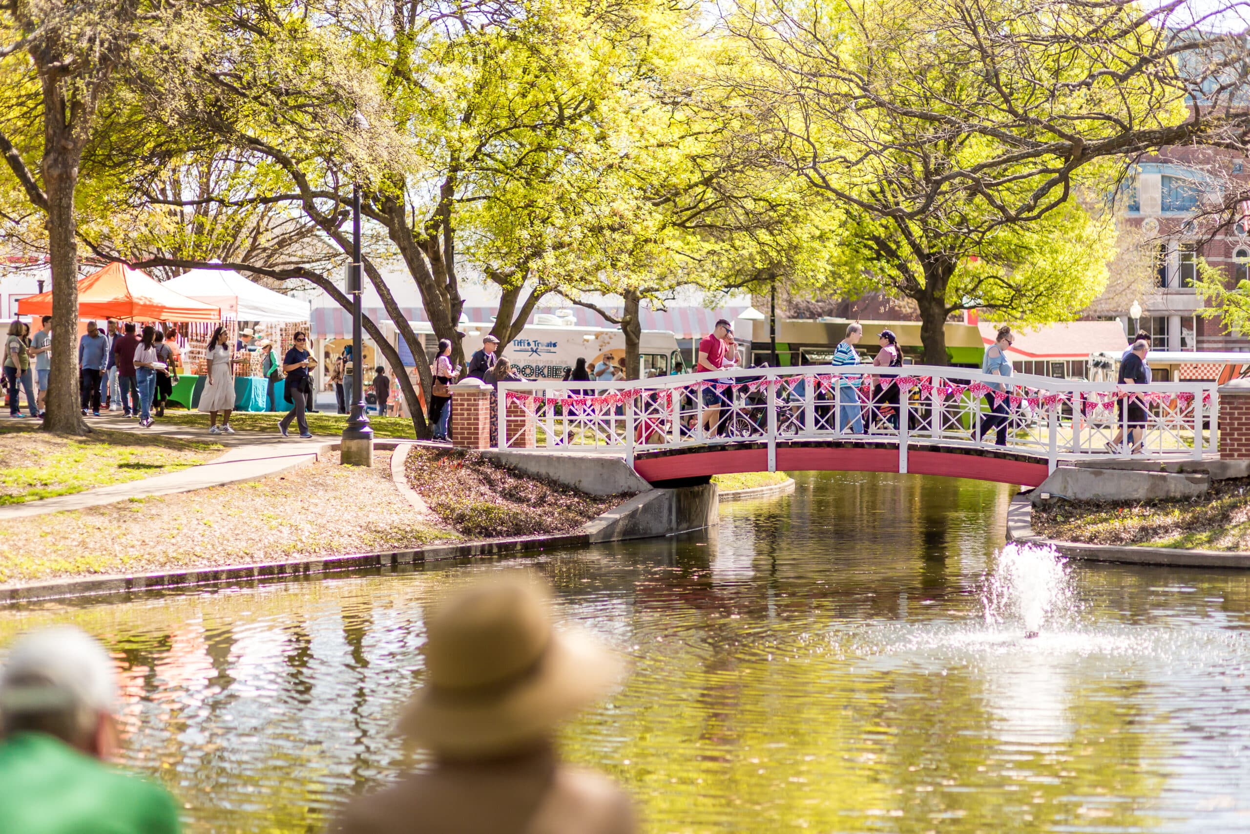 Artificial turf installation in Plano, TX
