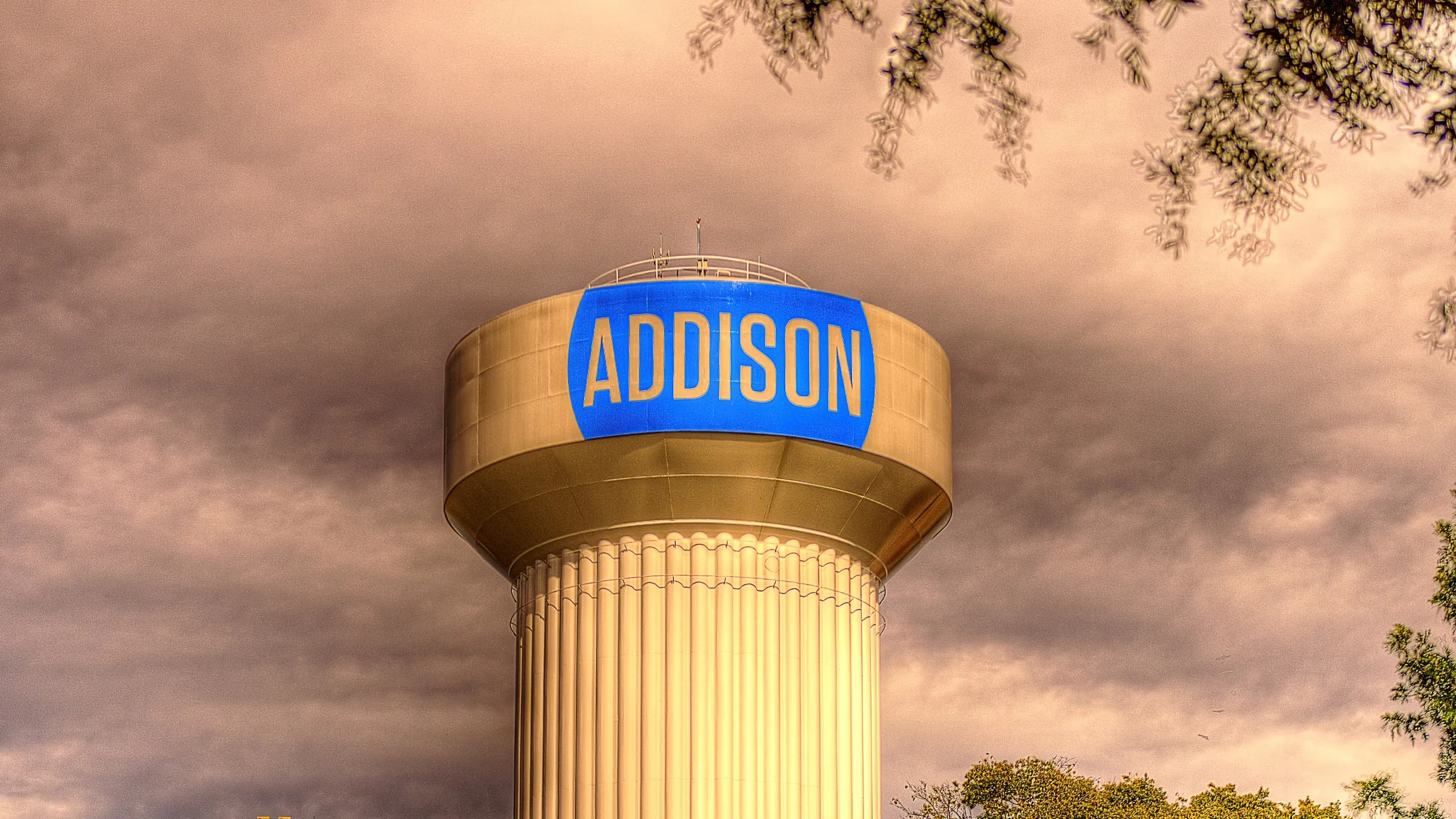 Artificial turf installation in Royse City, TX