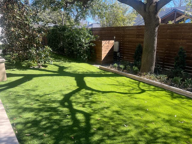 Backyard Turf