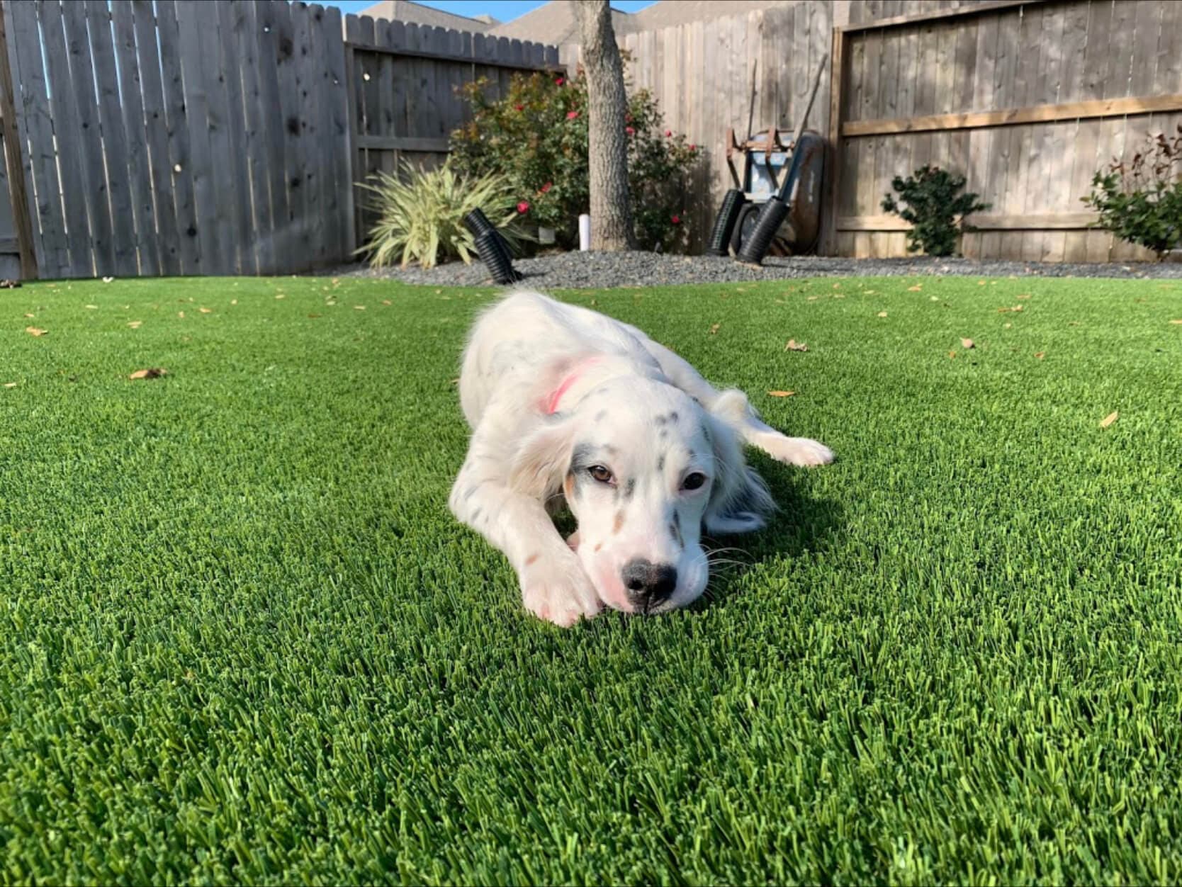 Pet Turf Odor Control