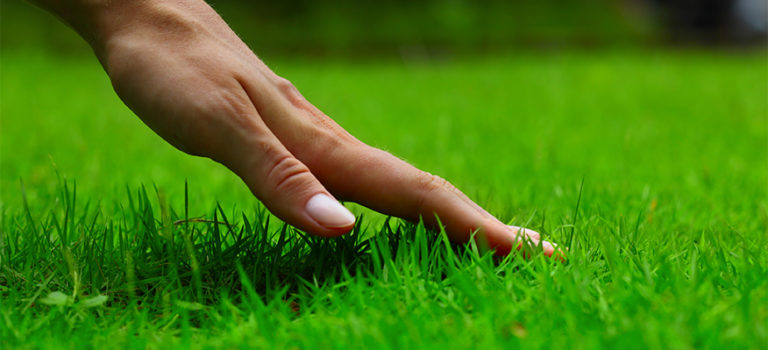 Artificial Grass Installation 214 531 3162 Home Turf Dallas