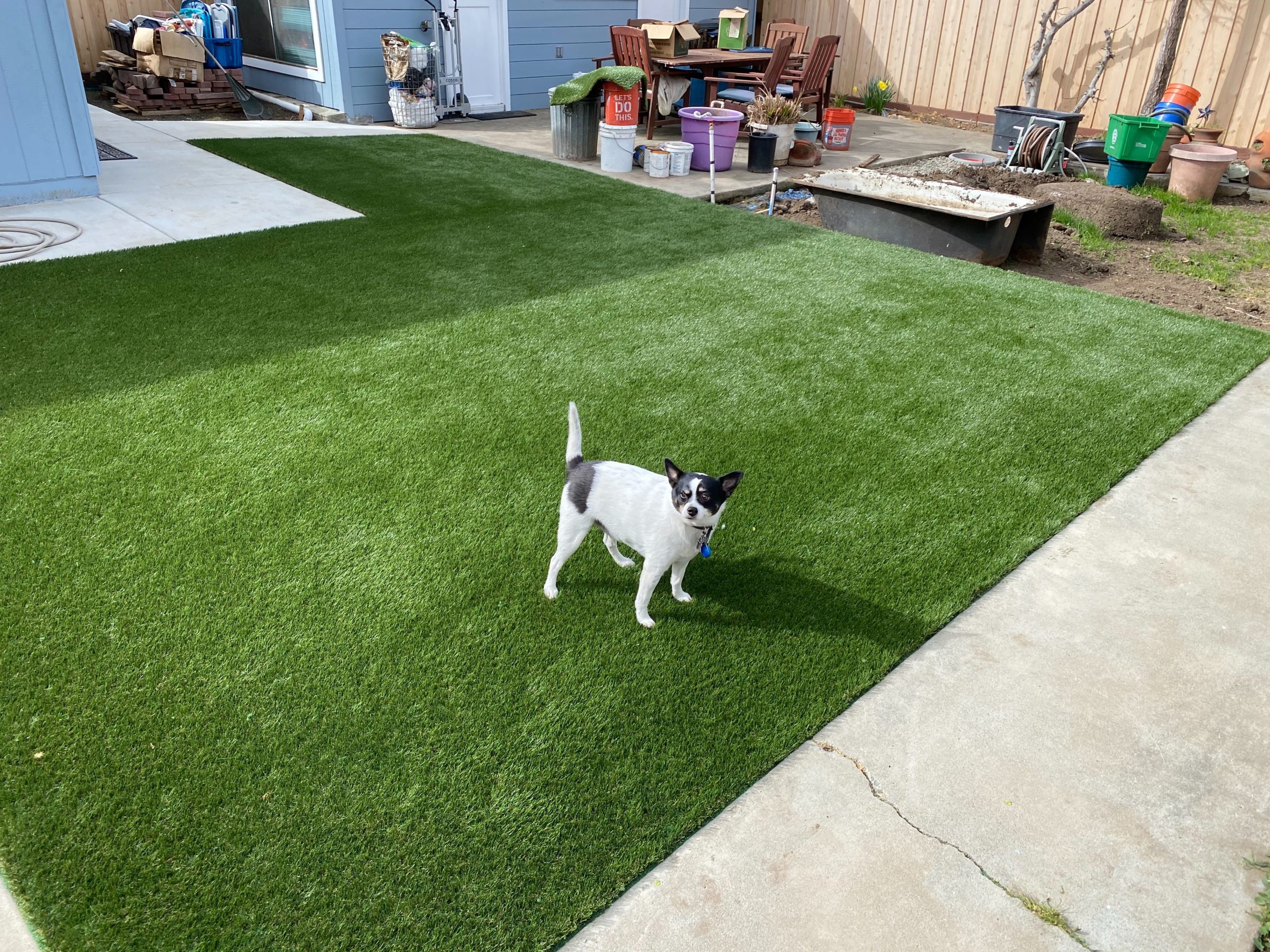 pet-friendly synthetic grass for dogs